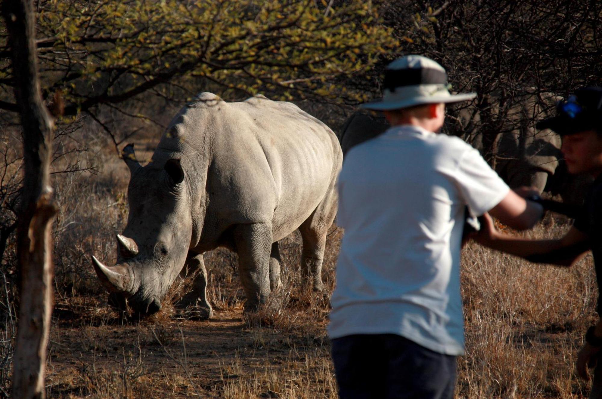 Waterberg Wilderness - One Namibia Vila Quarto foto