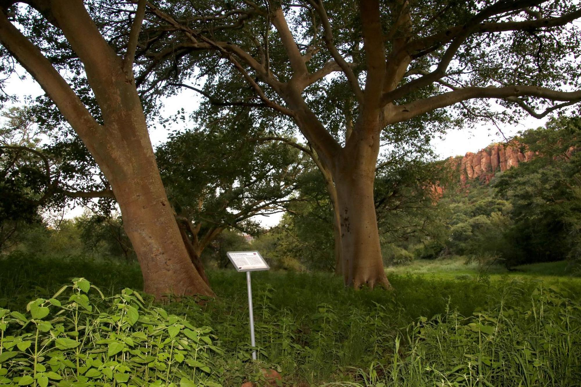 Waterberg Wilderness - One Namibia Vila Exterior foto