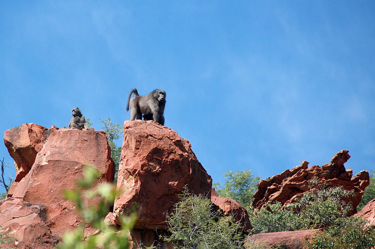 Waterberg Wilderness - One Namibia Vila Exterior foto